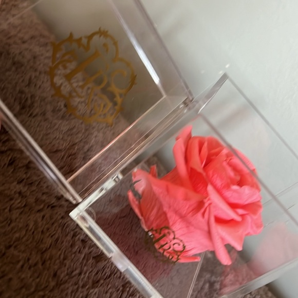 Pink forever rose - Picture 3 of 3